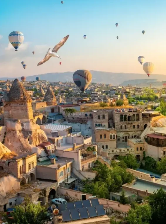 nttour-yurtici-turlar